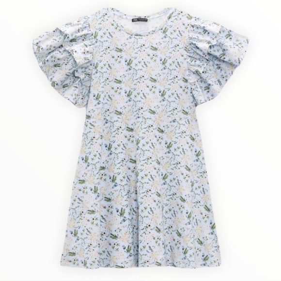 Zara Ruffled Print Dress NWT - Picture 1 of 9